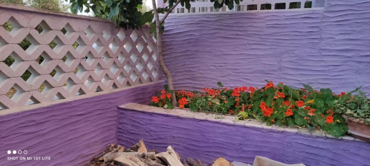 Casa Purple Apartment กาลาโกโนเน ภายนอก รูปภาพ